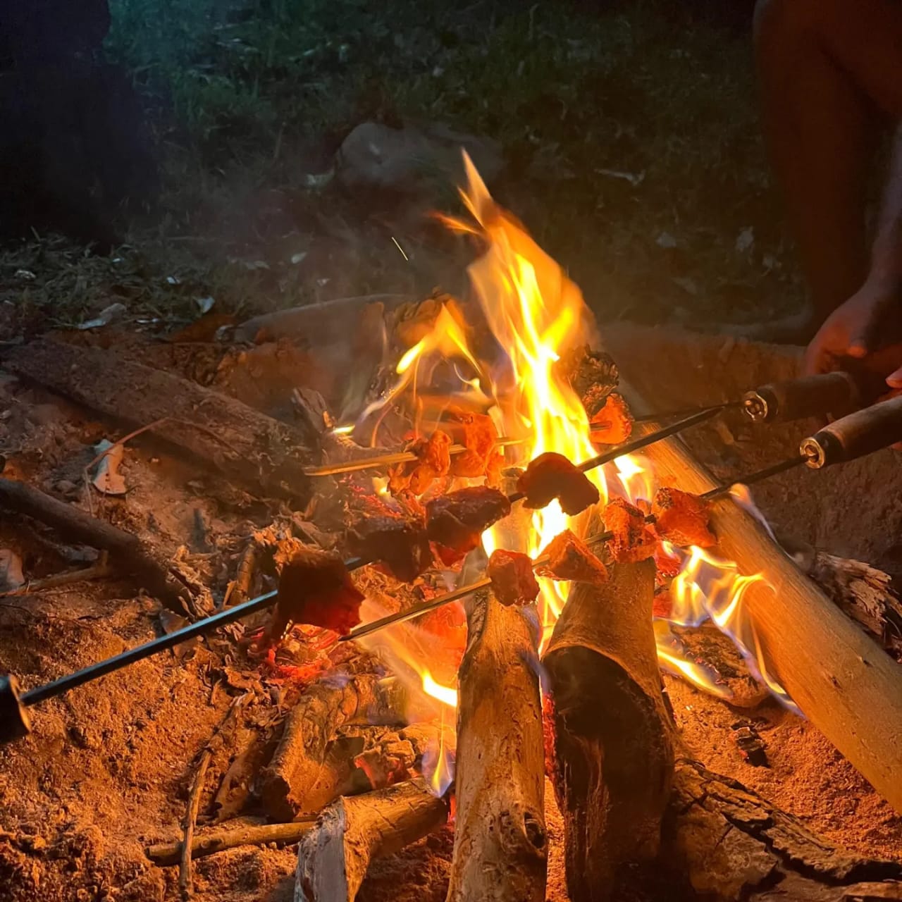 Campfire nights